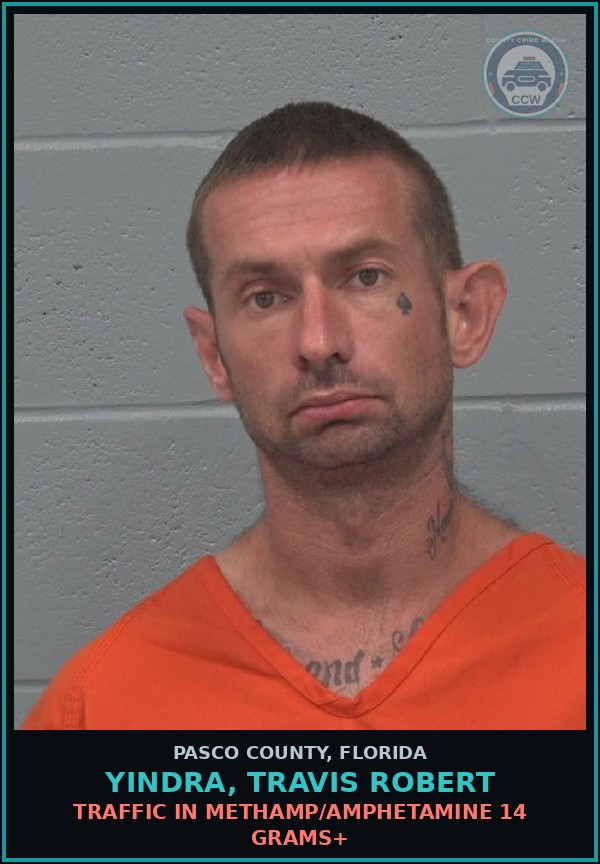 Booking mugshot of YINDRA, TRAVIS ROBERT in Pasco County
