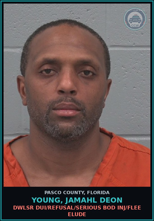 Booking mugshot of YOUNG, JAMAHL DEON in Pasco County