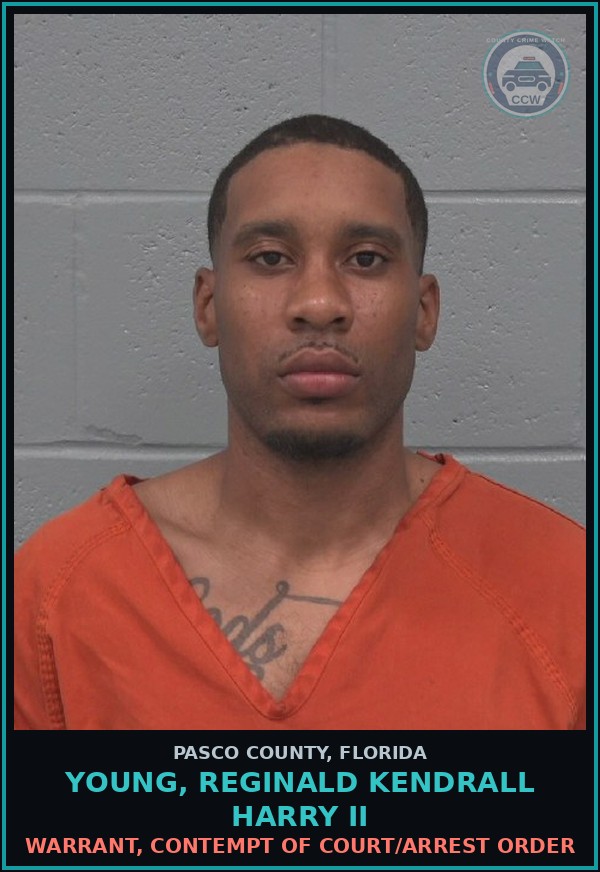 Booking mugshot of YOUNG, REGINALD KENDRALL HARRY II in Pasco County