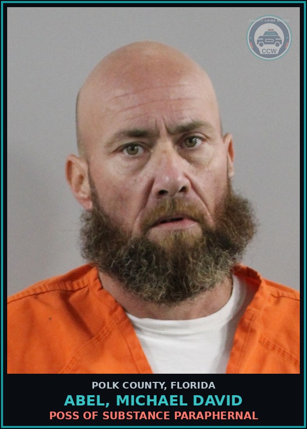 Booking mugshot of ABEL, MICHAEL DAVID in Polk County