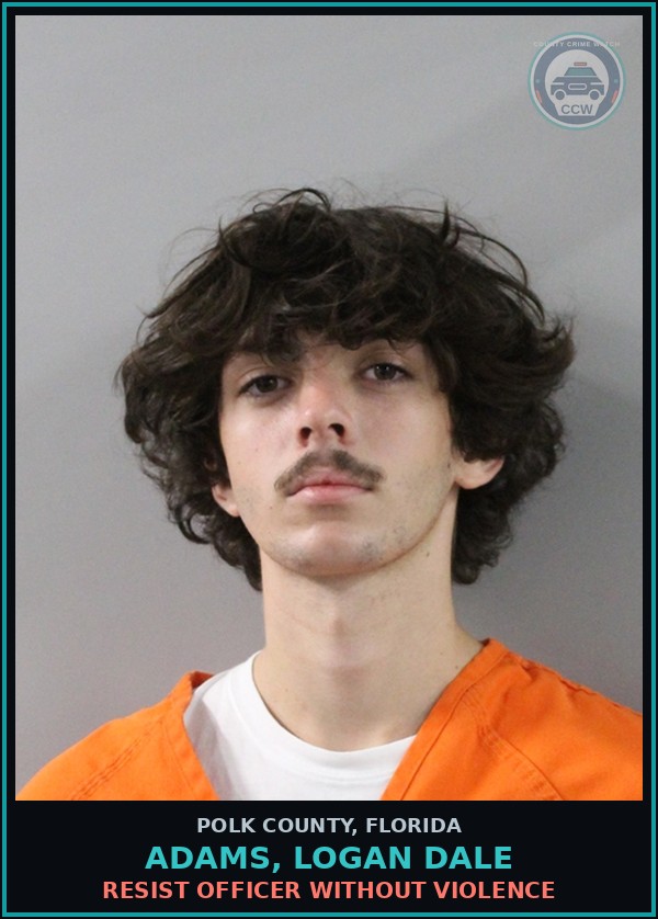 Booking mugshot of ADAMS, LOGAN DALE in Polk County