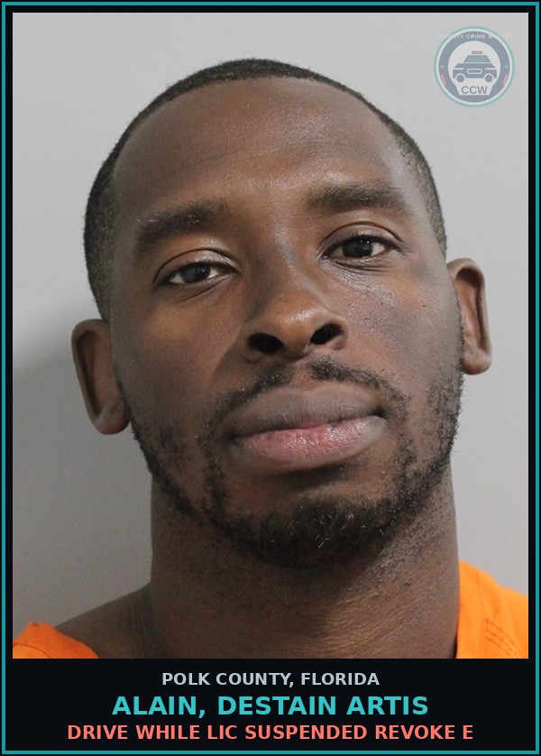 Booking mugshot of ALAIN, DESTAIN ARTIS in Polk County