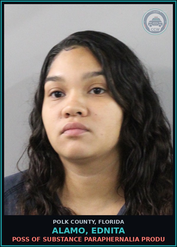 Booking mugshot of ALAMO, EDNITA in Polk County