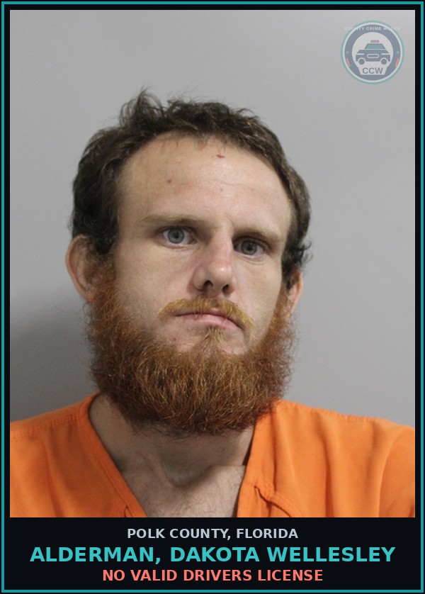 Booking mugshot of ALDERMAN, DAKOTA WELLESLEY in Polk County