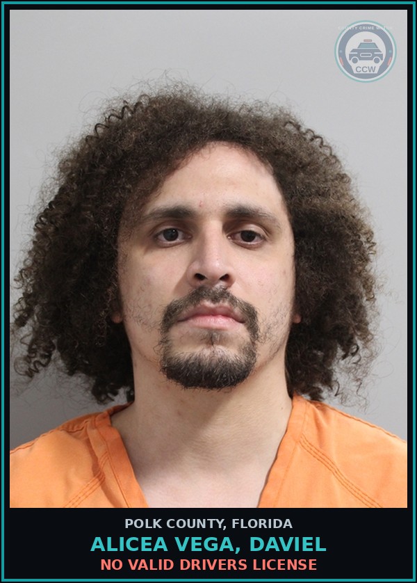 Booking mugshot of ALICEA VEGA, DAVIEL in Polk County