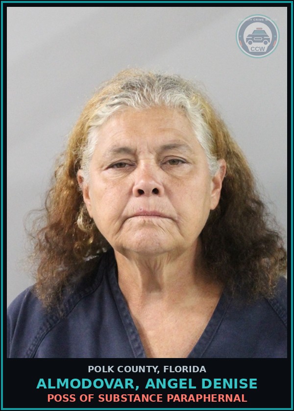 Booking mugshot of ALMODOVAR, ANGEL DENISE in Polk County
