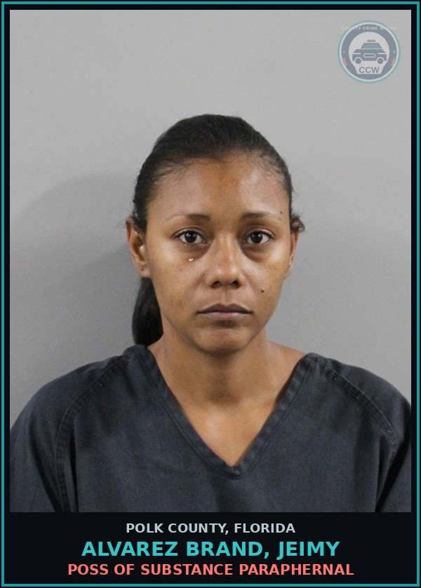 Booking mugshot of ALVAREZ BRAND, JEIMY in Polk County