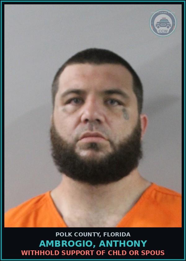 Booking mugshot of AMBROGIO, ANTHONY in Polk County