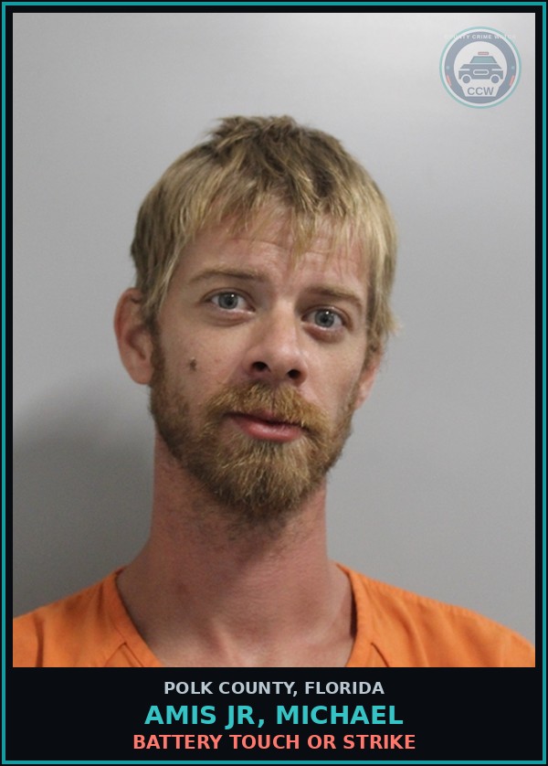 Booking mugshot of AMIS JR, MICHAEL in Polk County