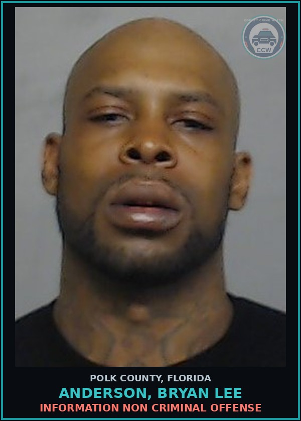 Booking mugshot of ANDERSON, BRYAN LEE in Polk County