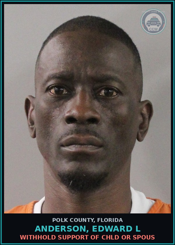 Booking mugshot of ANDERSON, EDWARD L in Polk County