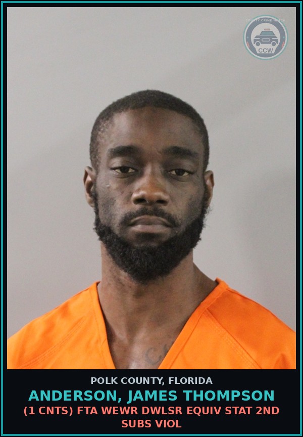 Booking mugshot of ANDERSON, JAMES THOMPSON in Polk County