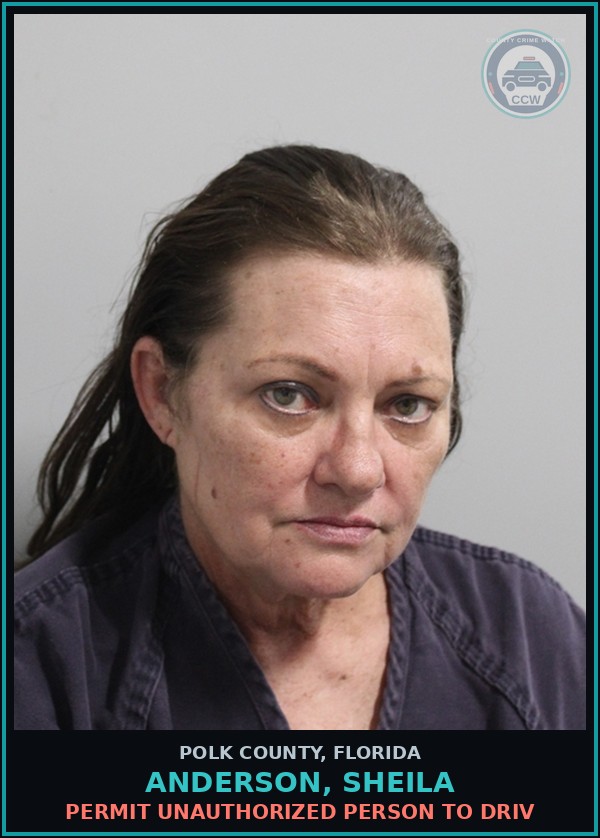 Booking mugshot of ANDERSON, SHEILA in Polk County