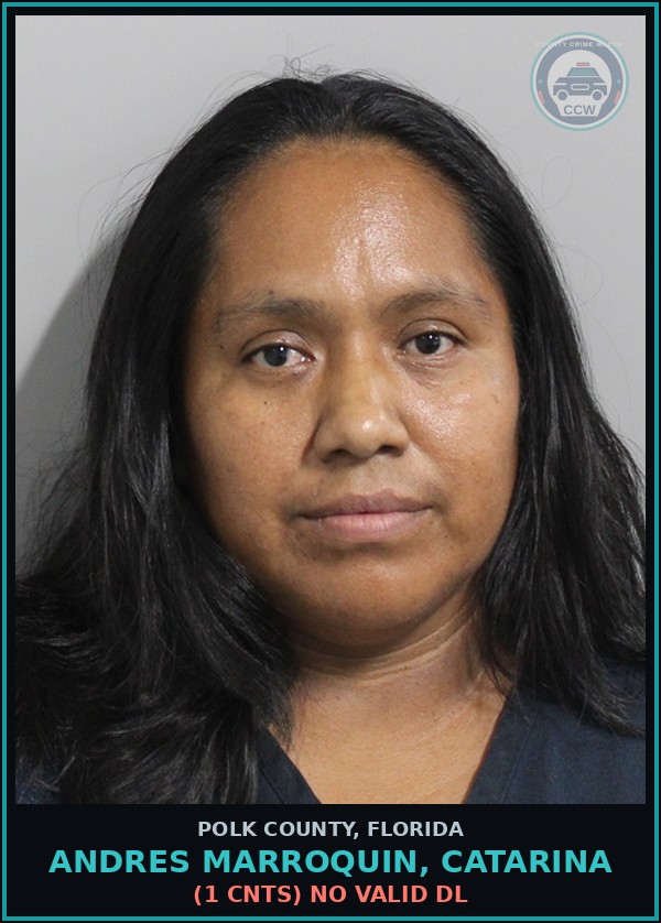 Booking mugshot of ANDRES MARROQUIN, CATARINA in Polk County