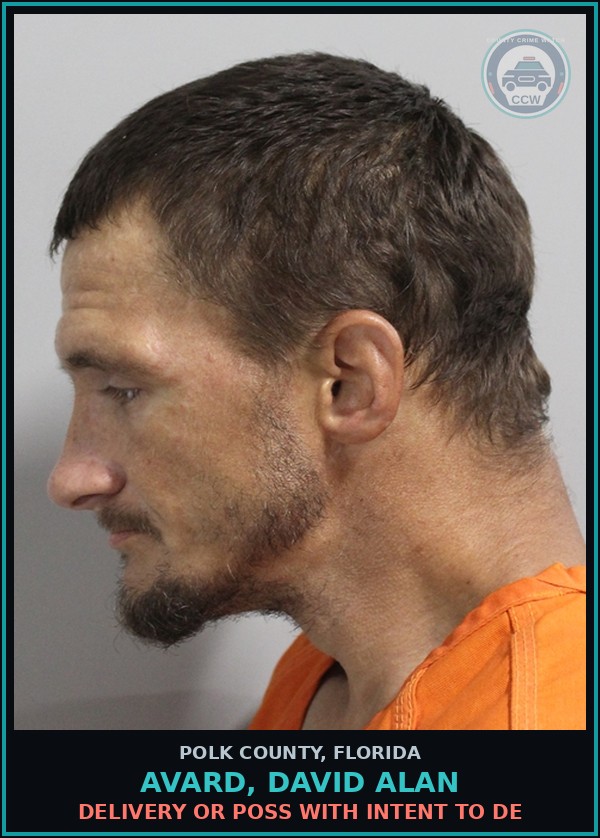 Booking mugshot of AVARD, DAVID ALAN in Polk County