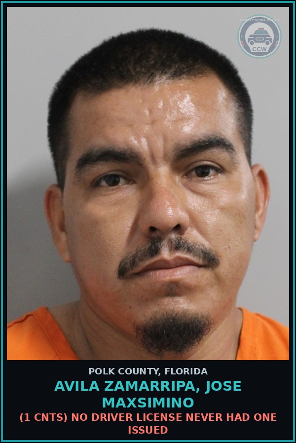 Booking mugshot of AVILA ZAMARRIPA, JOSE MAXSIMINO in Polk County