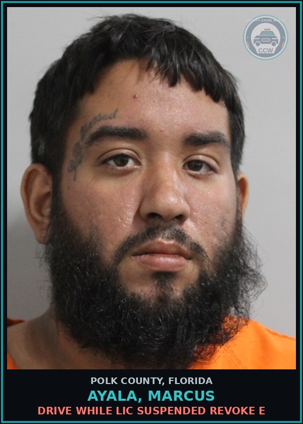 Booking mugshot of AYALA, MARCUS in Polk County