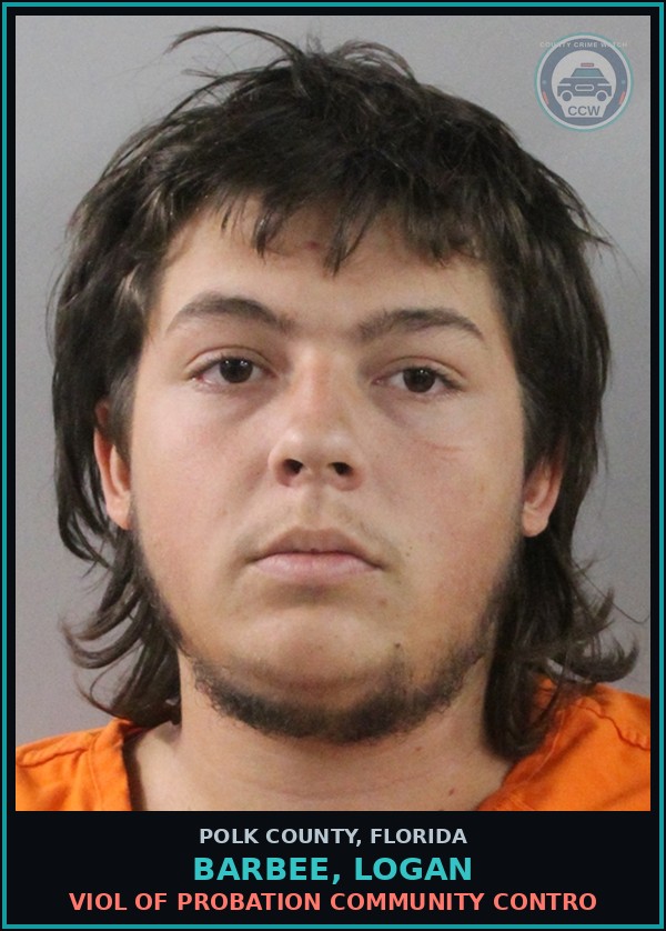 Booking mugshot of BARBEE, LOGAN in Polk County