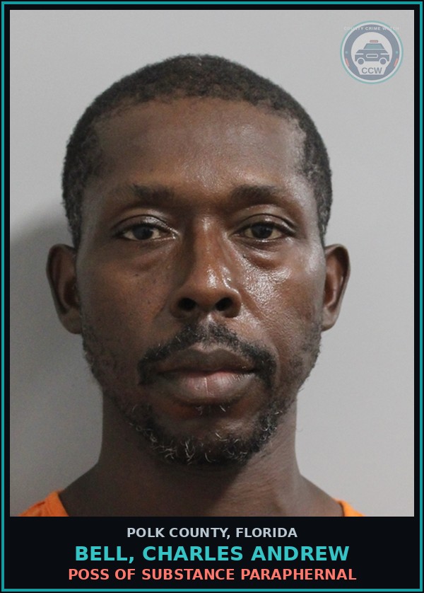 Booking mugshot of BELL, CHARLES ANDREW in Polk County