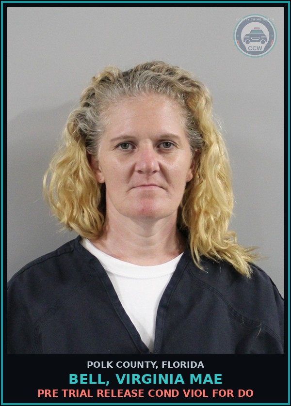 Booking mugshot of BELL, VIRGINIA MAE in Polk County