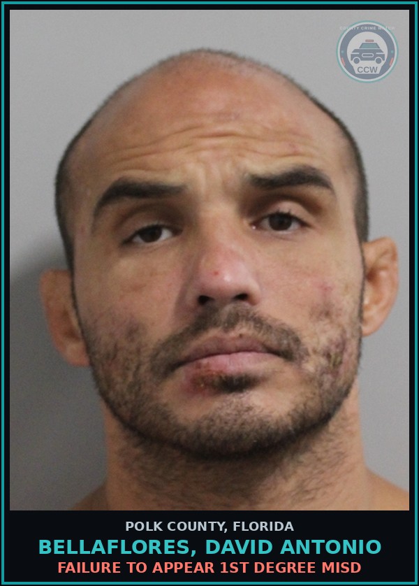 Booking mugshot of BELLAFLORES, DAVID ANTONIO in Polk County