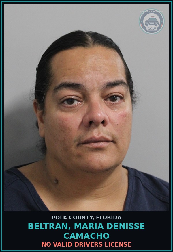 Booking mugshot of BELTRAN, MARIA DENISSE CAMACHO in Polk County