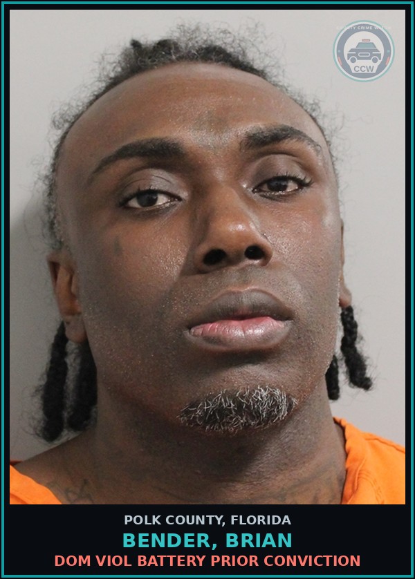 Booking mugshot of BENDER, BRIAN in Polk County