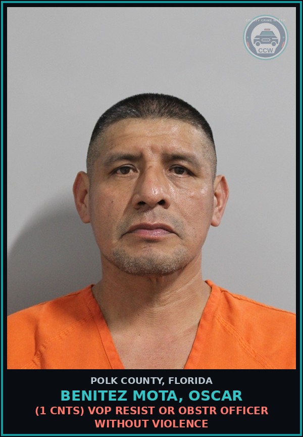 Booking mugshot of BENITEZ MOTA, OSCAR in Polk County