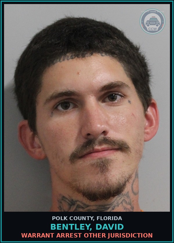 Booking mugshot of BENTLEY, DAVID in Polk County