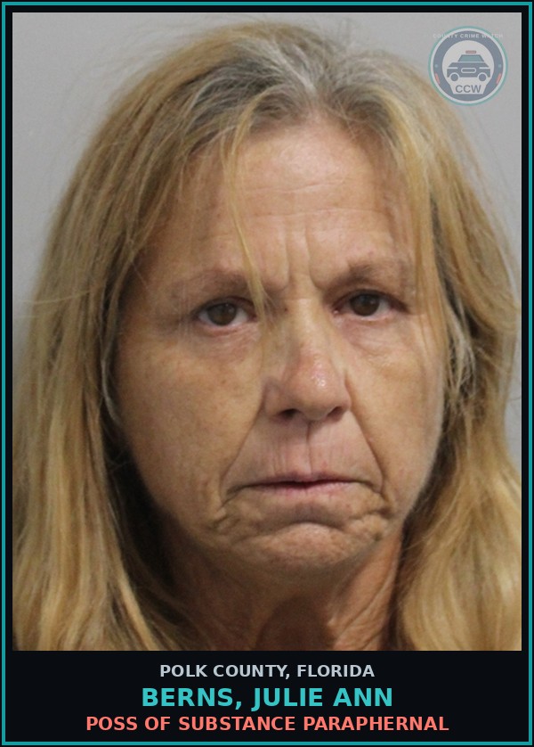 Booking mugshot of BERNS, JULIE ANN in Polk County
