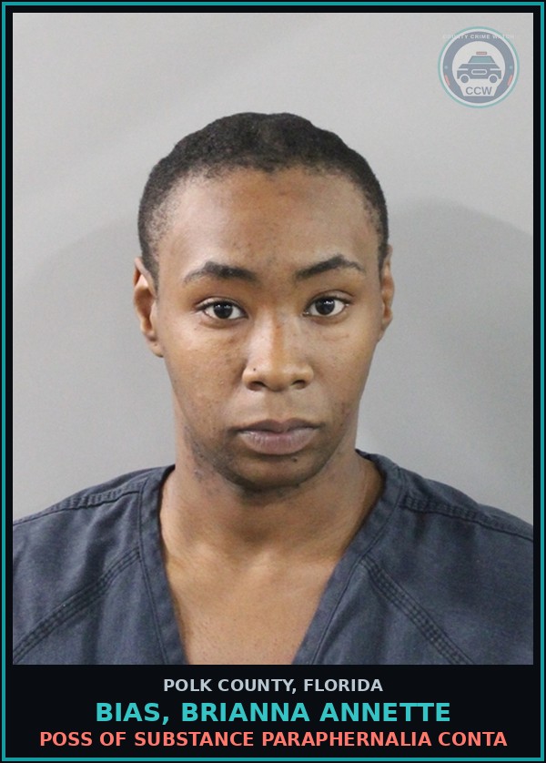 Booking mugshot of BIAS, BRIANNA ANNETTE in Polk County