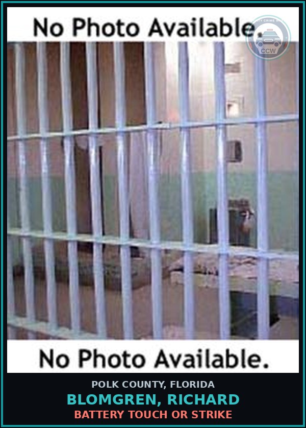 Booking mugshot of BLOMGREN, RICHARD in Polk County