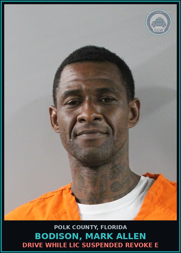 Booking mugshot of BODISON, MARK ALLEN in Polk County