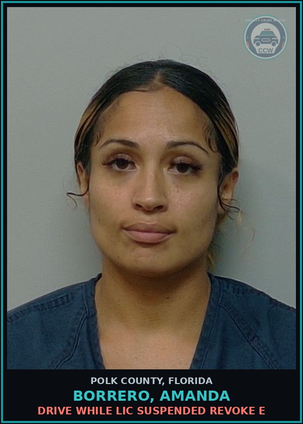 Booking mugshot of BORRERO, AMANDA in Polk County