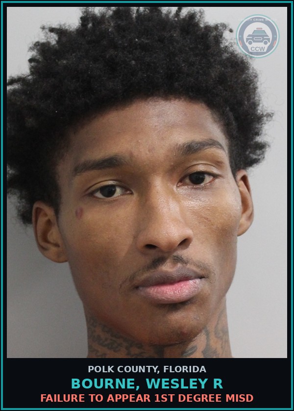Booking mugshot of BOURNE, WESLEY R in Polk County