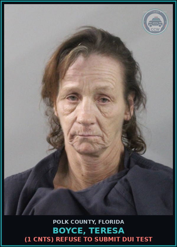 Booking mugshot of BOYCE, TERESA in Polk County