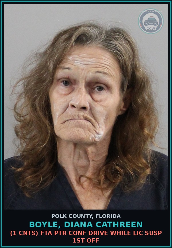 Booking mugshot of BOYLE, DIANA CATHREEN in Polk County