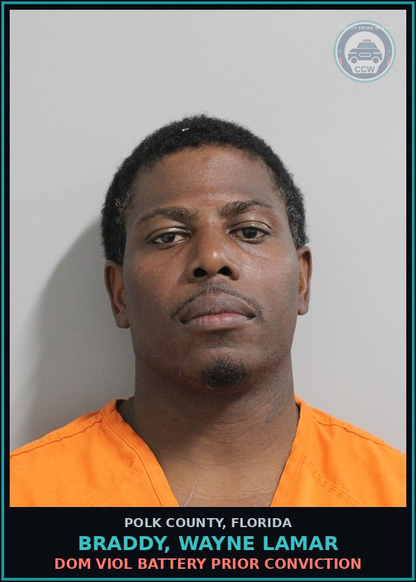 Booking mugshot of BRADDY, WAYNE LAMAR in Polk County