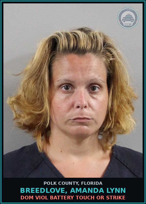 Booking mugshot of BREEDLOVE, AMANDA LYNN in Polk County