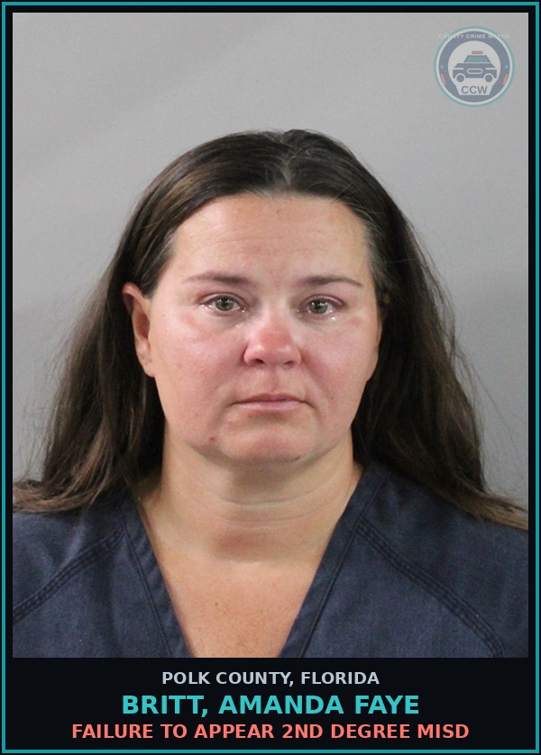Booking mugshot of BRITT, AMANDA FAYE in Polk County