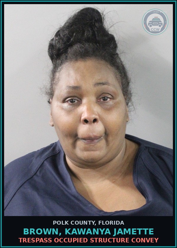 Booking mugshot of BROWN, KAWANYA JAMETTE in Polk County