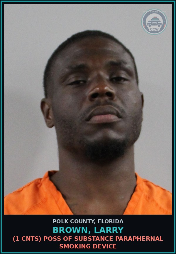 Booking mugshot of BROWN, LARRY in Polk County