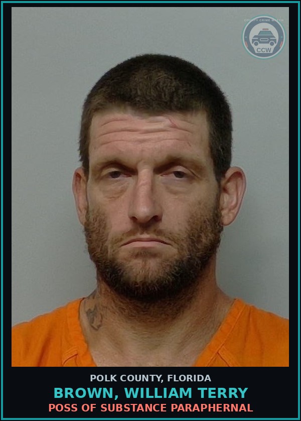 Booking mugshot of BROWN, WILLIAM TERRY in Polk County