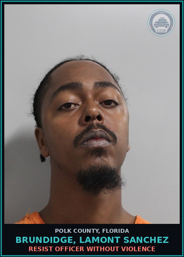 Booking mugshot of BRUNDIDGE, LAMONT SANCHEZ in Polk County