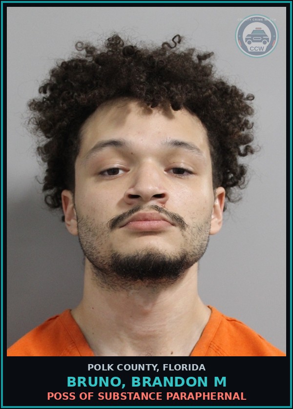 Booking mugshot of BRUNO, BRANDON M in Polk County