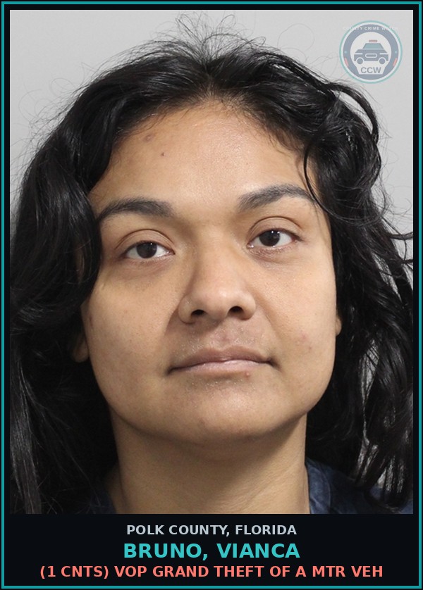 Booking mugshot of BRUNO, VIANCA in Polk County