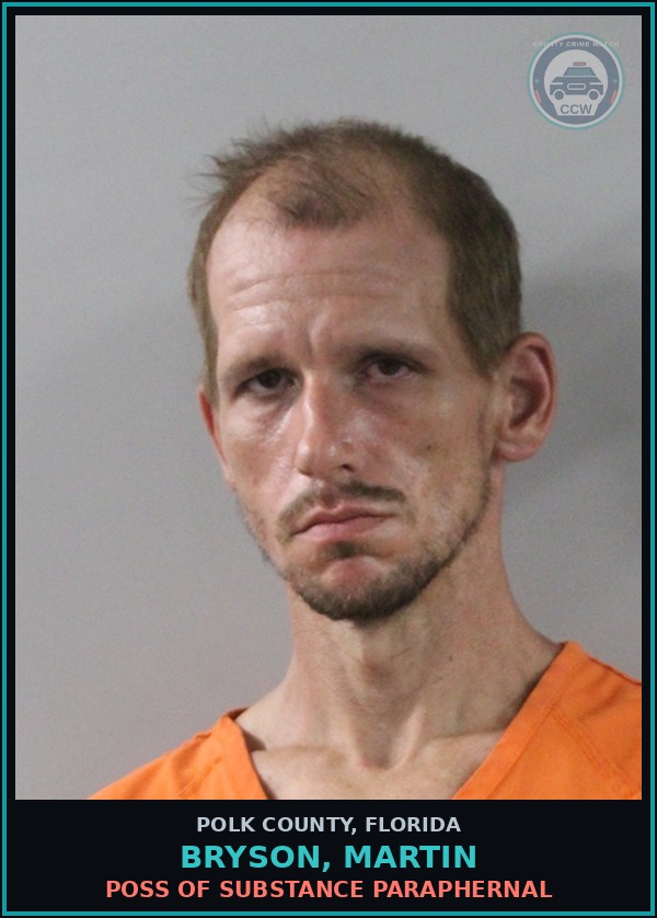 Booking mugshot of BRYSON, MARTIN in Polk County