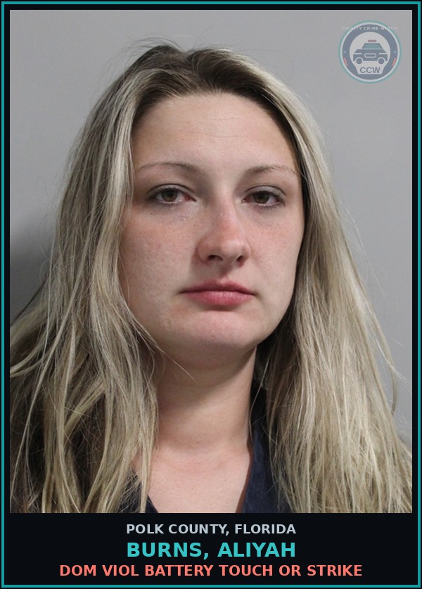 Booking mugshot of BURNS, ALIYAH in Polk County