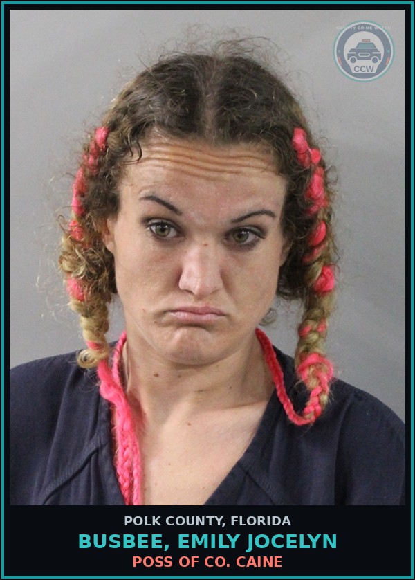 Booking mugshot of BUSBEE, EMILY JOCELYN in Polk County