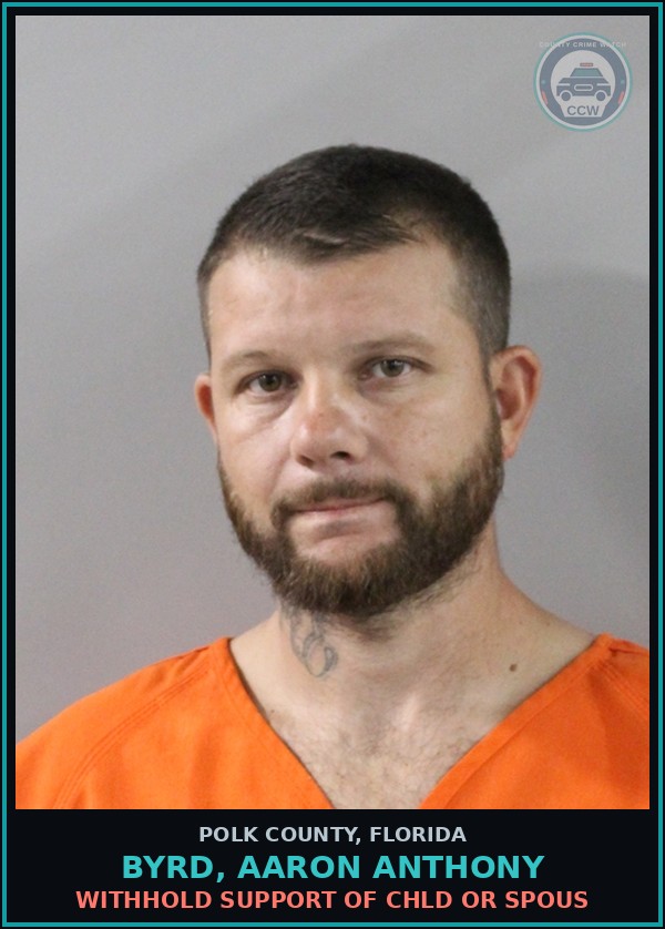 Booking mugshot of BYRD, AARON ANTHONY in Polk County
